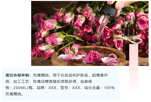 <a href='http://m.ibnepws.cn' title='危險品海運' >危險品海運</a>