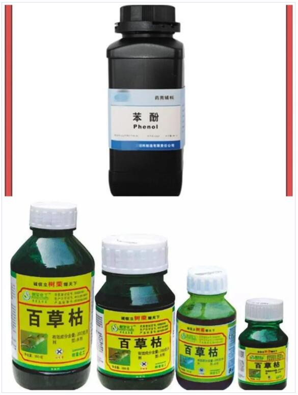 <a href='http://m.ibnepws.cn' title='國(guó)際貨運(yùn)代理' >國(guó)際貨運(yùn)代理</a>